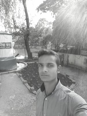 software engineering