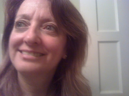 Tampa Tribune Reporter covering K-12 education Tribune