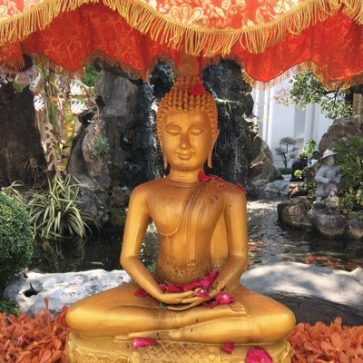 Syukti's profile picture. Author & Mental Health Provider