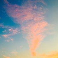 kawasemi7 (@rlung7) 's Twitter Profile