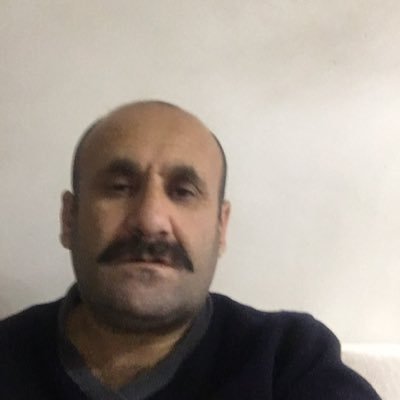 Siyaset