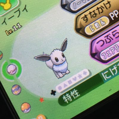 springf26695045's profile picture. ポケモン👾サンムーン🌞🌝 ✿ブイズ✿ミニリュウ✿チコリータ✿モクロー✿メタモン