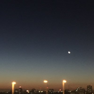 _skyvibes_'s profile picture. 