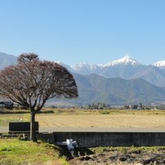 長野県の安曇野から発信します
安曇野を歩くことにこだわっています。
＃善光寺街道あるき旅
