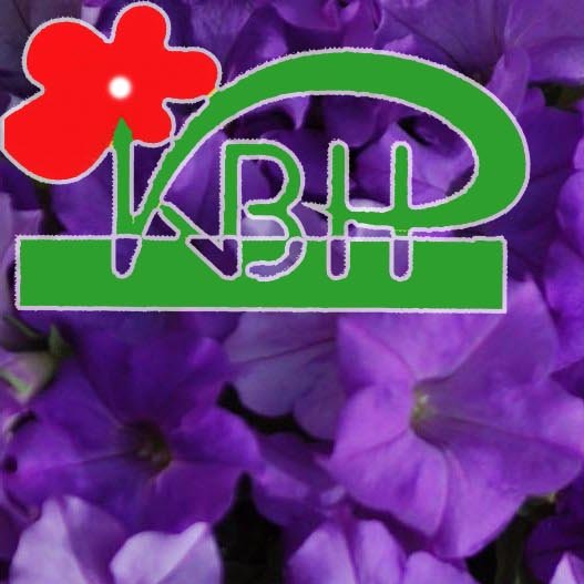 kvity_vn's profile picture. Широкий выбор садовых цветов на любой вкус, а также декоративных кустарников и хвойных растений.