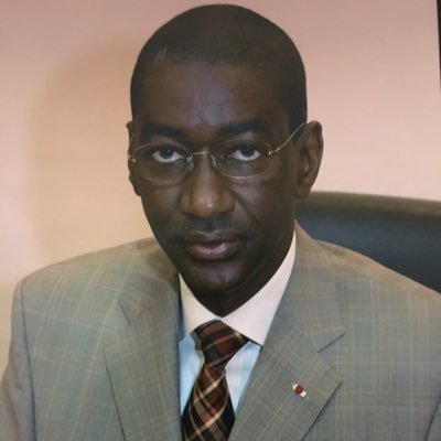 Ancien Ambassadeur du Mali à l'ONU, ancien Ministre des Affaires étrangères, ancien Délégué général à la paix et à la sécurité UEMOA, ancien Premier ministre.