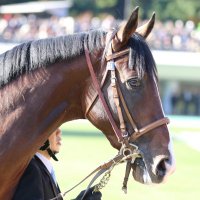 なおっしーの写真用アカウント (@angelicmixxxzzz) 's Twitter Profile Photo