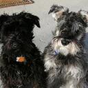 Becky Rowles - @beckyrowles - Twitter