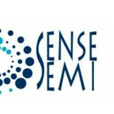 Sensesemi Tech Profile