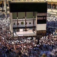 abu mokh (@abumokh) 's Twitter Profile Photo