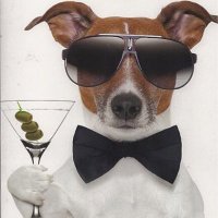 Martini Time (@upwitholives) 's Twitter Profile