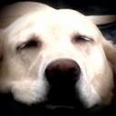 Jason Elder - @jptufguy - Twitter