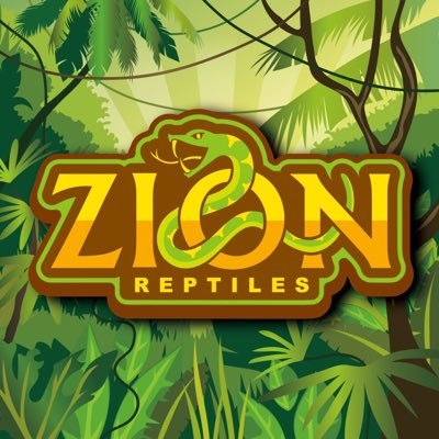 株式会社 ZION 【ZION Reptiles shop cafe&bar 】 ―熊本市南区の爬虫類専門店 ✻✻✻✻✻✻✻✻✻✻✻✻✻✻✻✻営業時間 平日15時-24時 土日祝日10時-24時 ✻✻✻✻熊市販第R2-18号 熊市保第R2-22号✻✻✻✻✻✻✻✻✻✻熊市貸第R2- 2 号   熊市展第R2- 2 号