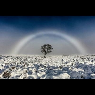 rousmarc's profile picture. 