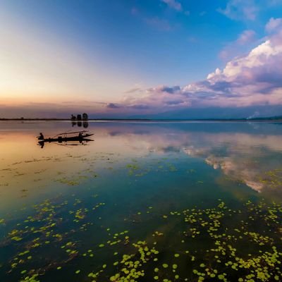 mrsahils's profile picture. 