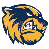 The WOLVERINES (@nfyellowrage) 's Twitter Profile