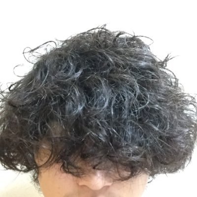 ホンマさんのプロフィール画像