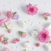 بت السودان (@rhafadil555111) Twitter profile photo