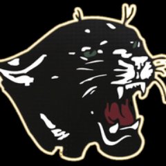 Blackcats Newtork is a service of Goreville Community Unit School District No. 1. The network does live streaming of school events including sports.