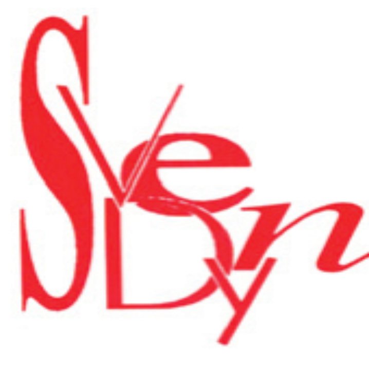 SVEDYN Profile