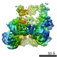 HSP104 ResourceGuide (@hsp_104) 's Twitter Profile Photo