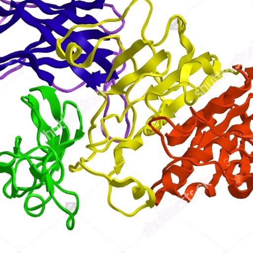 _lipase's profile picture. Yo it's lipase! I was founded in 1848 in the pancreas and work at Stomach Inc I help break fats in your body into Glycerol and Fatty acids !! pH of 7.5 😏