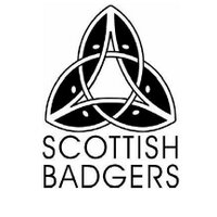 Scottish Badgers(@scottishbadgers) 's Twitter Profile Photo