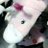fannie_bunny's profile image