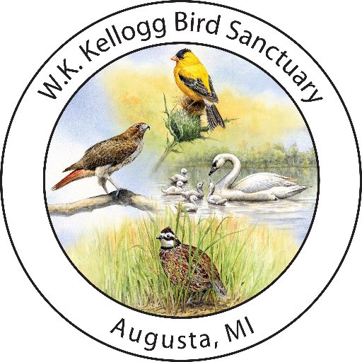 KelloggBirdSanc Profile Picture