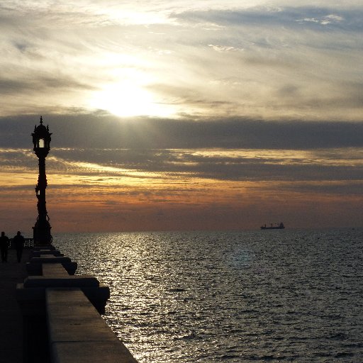 dondaoficial's profile picture. 