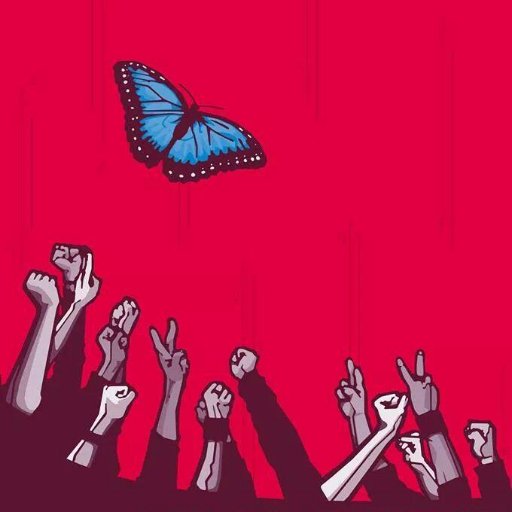 systemtransfor's profile picture. 