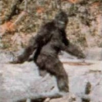 Squatch Squadron (@squatchsquadron) 's Twitter Profile