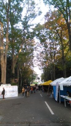 kaisei45028398's profile picture. 高校１年　もっと偏差値あげる。見返してやる。