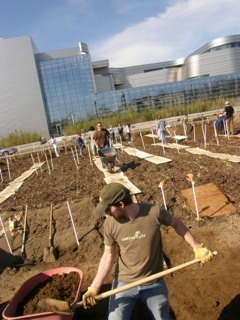 The 2 acre site East of the Eugene Federal Courthouse has been turned into a community garden. Operated by U of O and Lane County