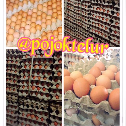 Telur Ayam Negeri segar, berkualitas Pesan - Antar Telp /WA : 085100012347