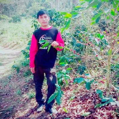 cbrpbendezu's profile picture. 