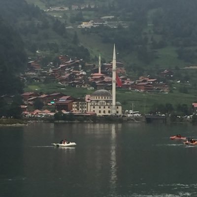 aldeeri2275's profile picture. 