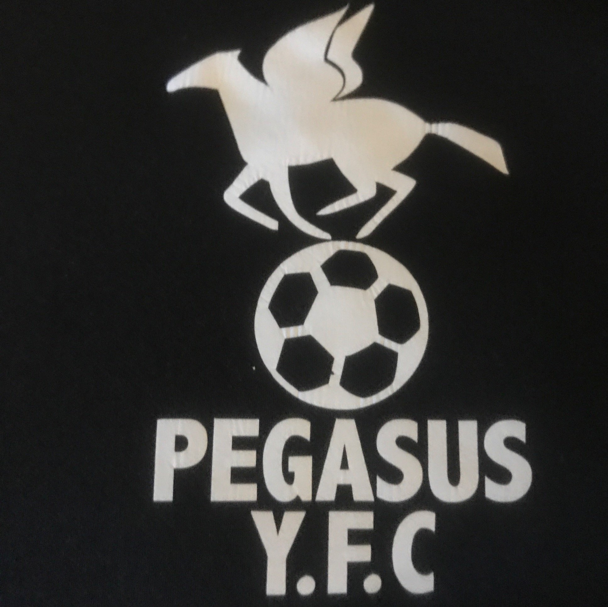 A Grassroots Football Club based in Stapleford est1980 we look to provide kids with the greatest experience they can have playing football #followtheflyinghorse