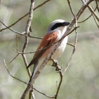 Ian Grant (@ian_m_grant) 's Twitter Profile