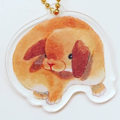 スコシ🐰🍞さんのプロフィール画像