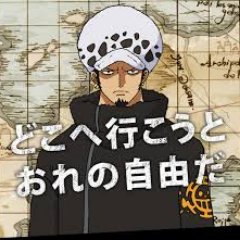 トラファルガー ロー画像集 على تويتر トラファルガー ロー Onepiece かっこいいと思ったらrt いいねした人全員フォローする