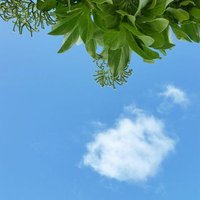 Asha Sanjay (@ashaakka) 's Twitter Profile