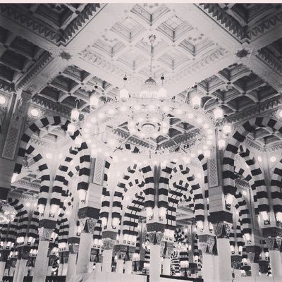 khulood_ghalib's profile picture. 