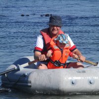 Finlay MacDonald (@finmacd) 's Twitter Profile