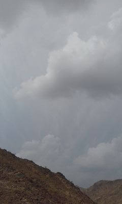 tWNQSnNDh1fBdyd's profile picture. احب ديني ووطني