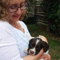 Helen Lidbetter (@mummalids) 's Twitter Profile