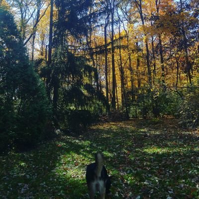 Sc : Mr.Transylvania
IG : Ryan__Glass 437K
https://t.co/hHOQyv46YL…
$DOGE $FLOKI $SHIB $VLHLA $WOJAK $TIM $JEETO $PIT
NOT FINANCIAL ADVICE