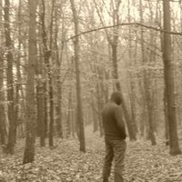 Arczi (@wiselka1981) 's Twitter Profile