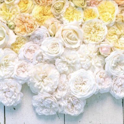 nalnafisi1's profile picture. 