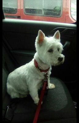 ClaireM31689910's profile picture. 